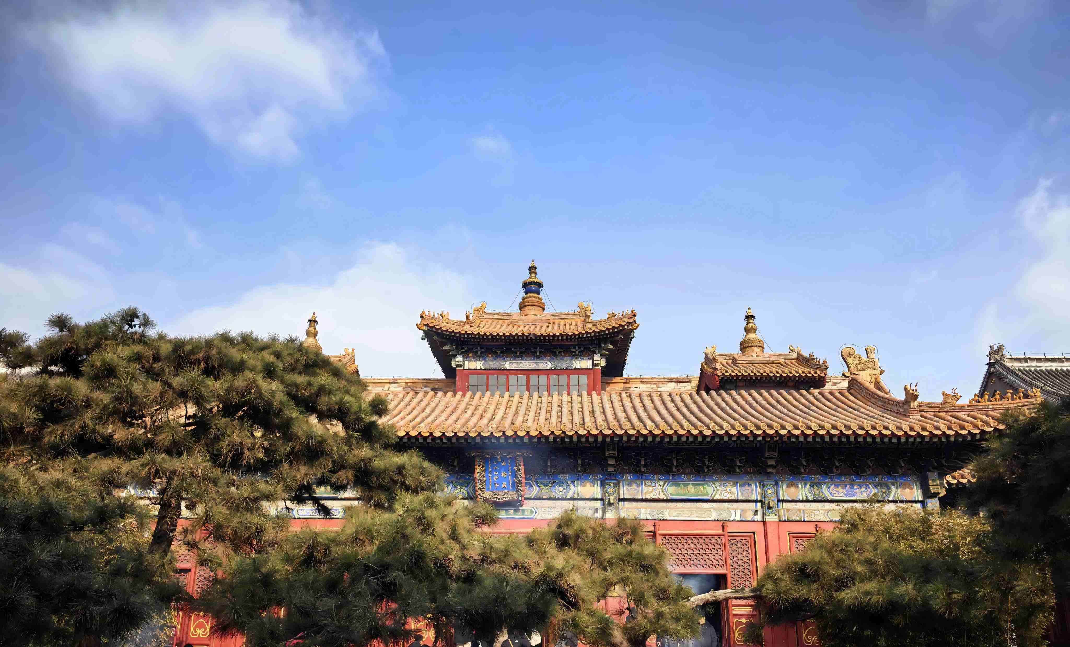 ห้อง Yongyou